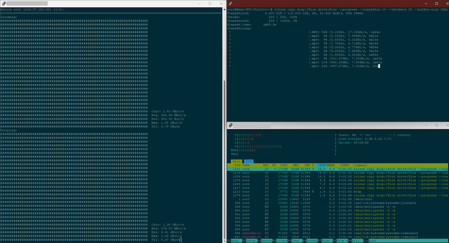 Bandwidth, Processor and transfer statistics.